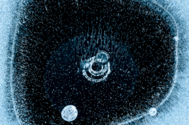 Ice Matrix 
Au cœur du lac, un caillou a sombré, brisant la croûte glacée. ©Samuel Badaire