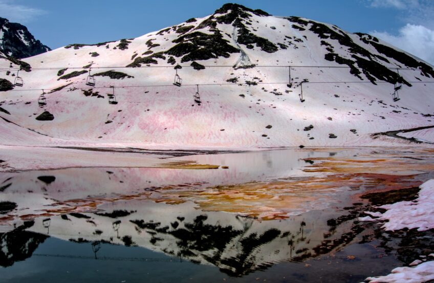 « Reflet d’algues », image signée Thomas Pauze fait partie des lauréates du concours photo AlpAlga 2023-2024.