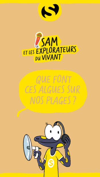 Sam et les eplorateurs du vivant podcast de la salamndre junior que font ces algues sur nos plages