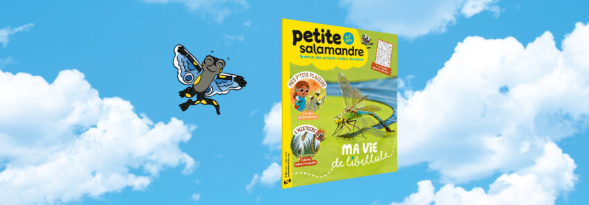 PSA66 salamandre ma vie de libellule