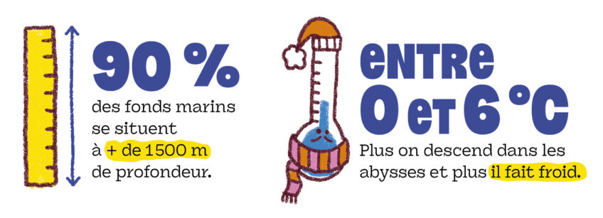 SAJ166 ma planete les abysses profondeur
