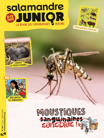 Couverture du magazine jeunesse