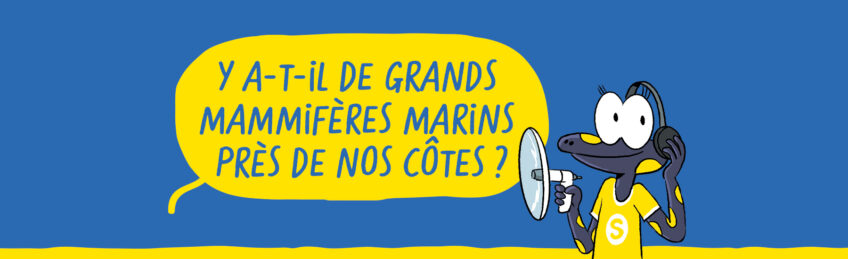 Sam et les explorateurs du vivants mamofères marins