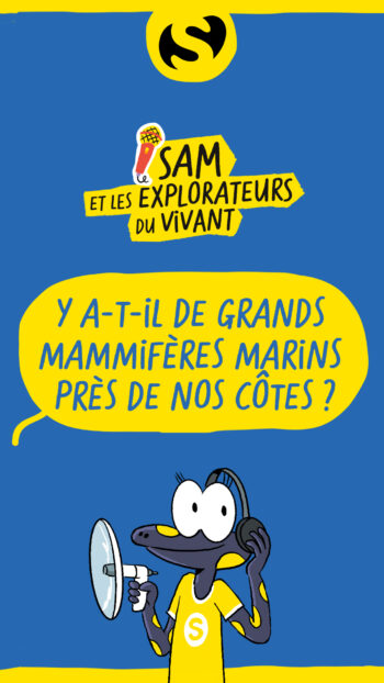 Sam et les explorateurs du vivant mammifères marins