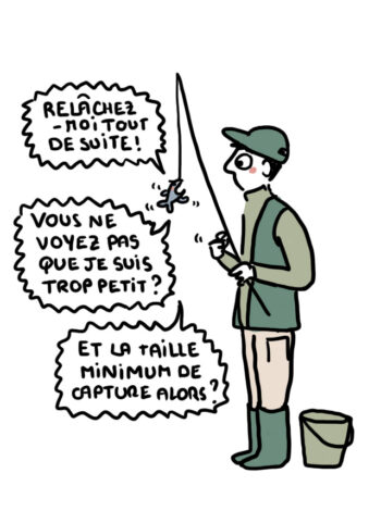 PSA66 cabochon debat peche menace etang petite salamandre