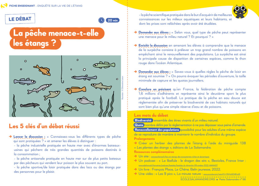 PSA66 fiche libellule debat