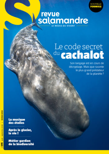 Couverture de La Salamandre n°295