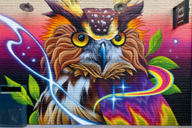 Le veilleur : Fresque représentant un hibou grand-duc à Amiens (2025). / &copy; Céz Art
