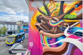 Heatwaves : Fresque peinte pour le festival international d’art urbain Waterford Walls, en Irlande (2022). Elle traite du réchauffement climatique et de l’impact sur la faune locale. / &copy; Céz Art
