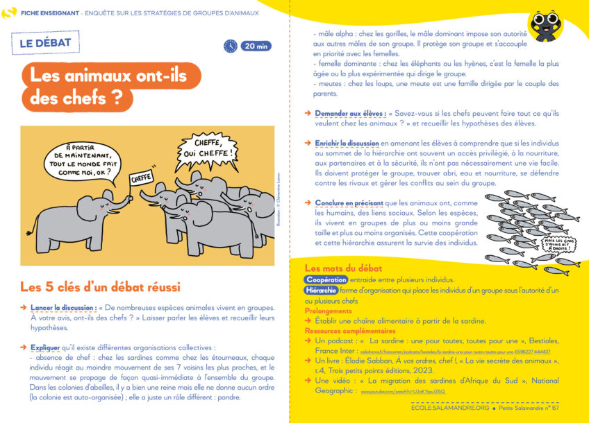 PSA67 fiche sardine debat