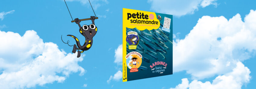 Petite Salamandre 67 - Sardines : banc de copines
