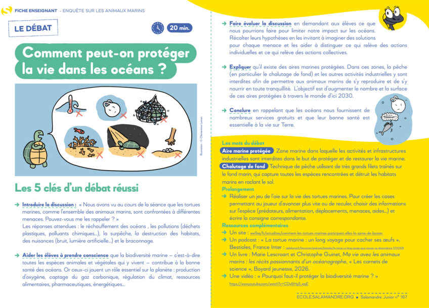 SAJ167 fiche tortue débat