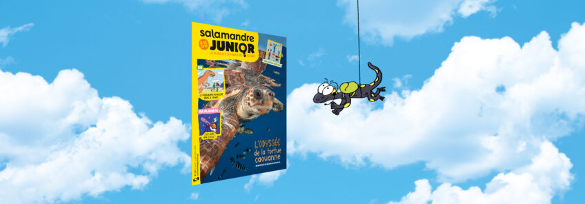 Salamandre Junior 167 - L'odyssée de la tortue caouanne