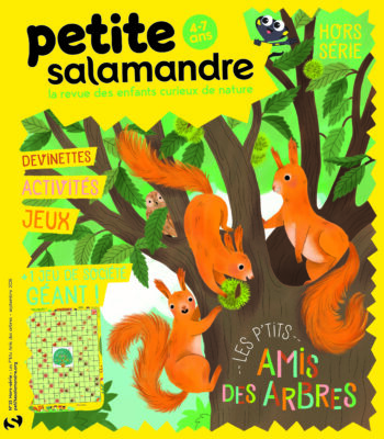 Couverture de La Petite Salamandre n°HS15