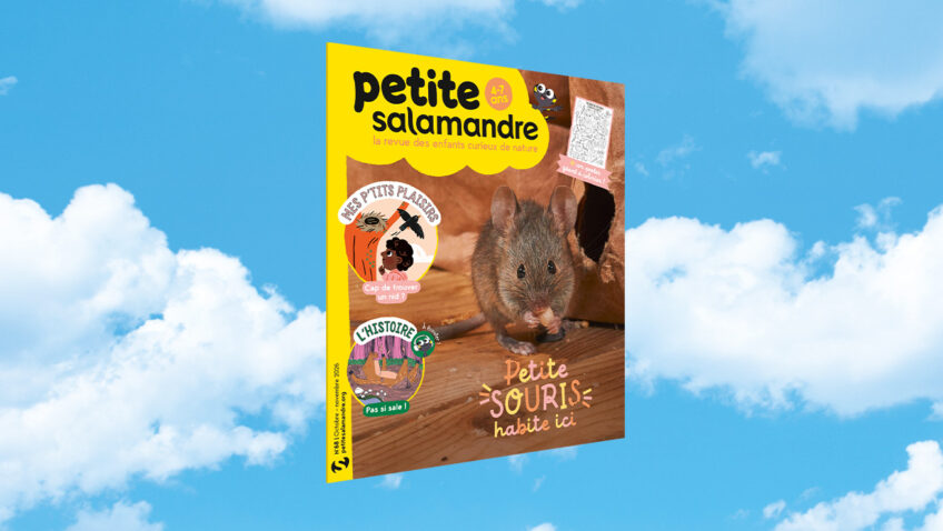 PSA68-petite souris habite ici