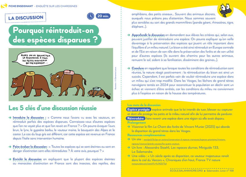 SAJ168 fiche vautour debat