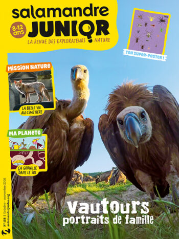 Couverture du magazine jeunesse