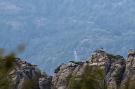 Au sommet : Le mouflon affectionne les terrains dégagés à sol sec et caillouteux d’où il peut détecter les prédateurs. / &copy; Guilhem Battistella
