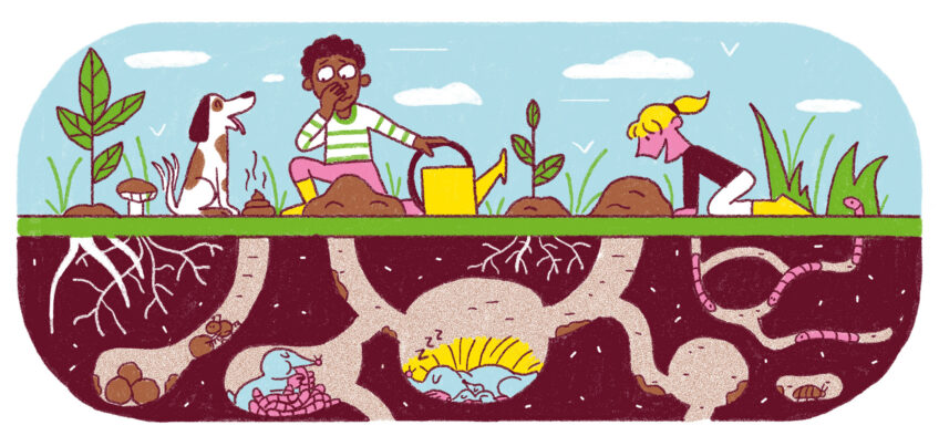 salamandre ma planete la vie sous terre