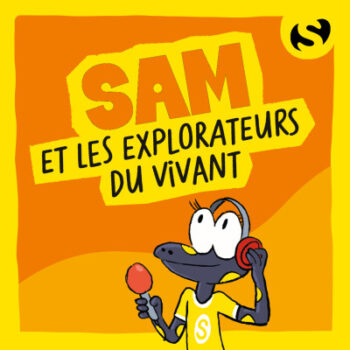 podcast saj11