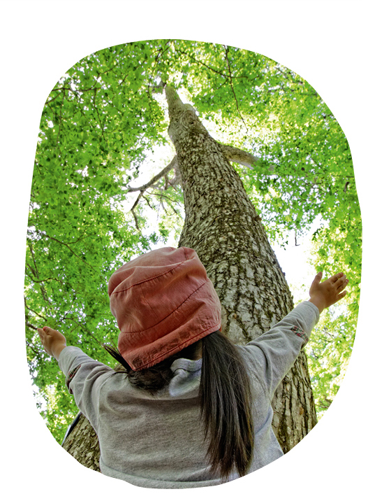 Fillette qui observe un arbre